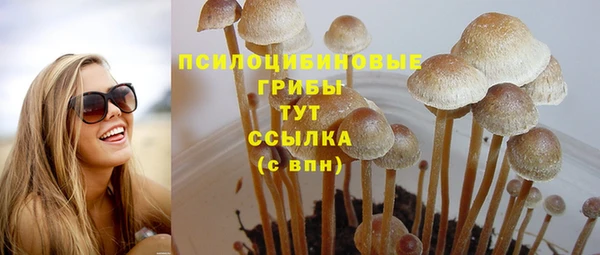 сатива Кинешма