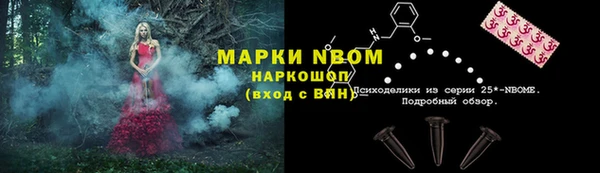 сатива Кинешма