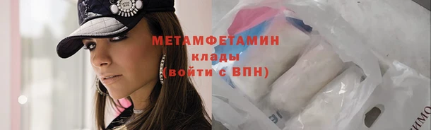 сатива Кинешма