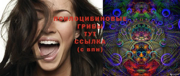 герыч Козловка
