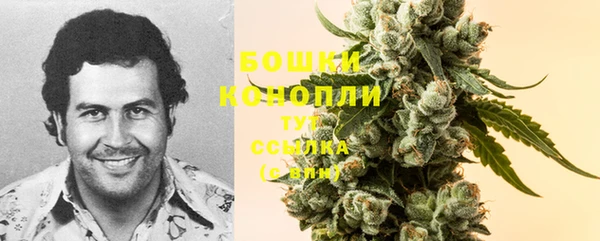 сатива Кинешма