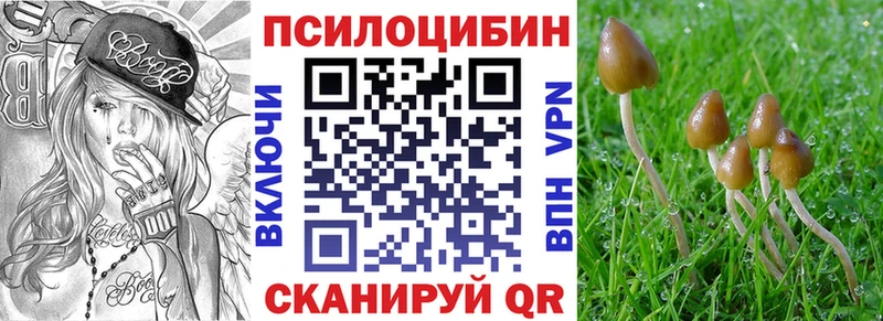 Купить закладки  Вятские Поляны  Галлюциногенные грибы ЛСД 